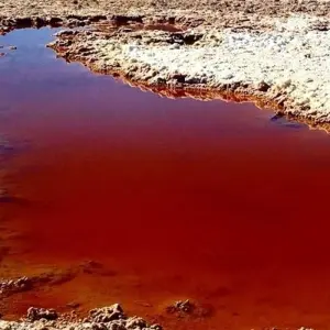 Explore From Buenos Aires to La Paz via Uyuni (15 Nights) for 16 days with Hi Travel Argentina and discover unforgettable experiences - Photo 2