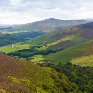 Explore The Wicklow Way: Self Guided 8 Day for 8 days with Hilltoptreks and discover unforgettable experiences - Photo 9