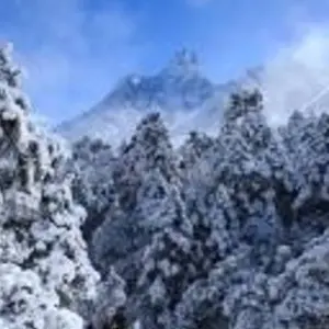 Explore Sunrise Poonhill Trek for 7 days with Himalayan Adventure Treks & Tours and discover unforgettable experiences - Photo 4