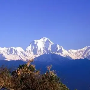 Explore Sunrise Poonhill Trek for 7 days with Himalayan Adventure Treks & Tours and discover unforgettable experiences - Photo 10