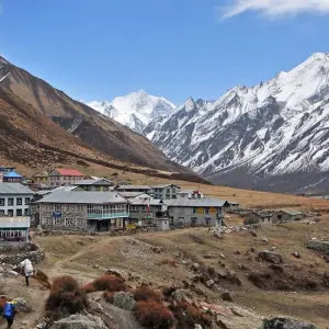 Explore Langtang Valley Trek for 10 days with Himalayan Adventure Treks & Tours and discover unforgettable experiences - Photo 10