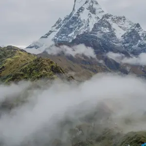 Explore Mardi Himal Base Camp Trek-9 Days for 9 days with Himalayan Adventure Treks & Tours and discover unforgettable experiences - Photo 8