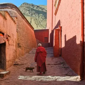 Explore Tibet Lhasa Tour with Everest Base Camp for 8 days with Himalayan Adventure Treks & Tours and discover unforgettable experiences - Photo 4