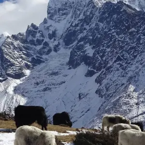 Explore Everest Base Camp Heli Tour for 1 days with Himalayan Adventure Treks & Tours and discover unforgettable experiences - Photo 7