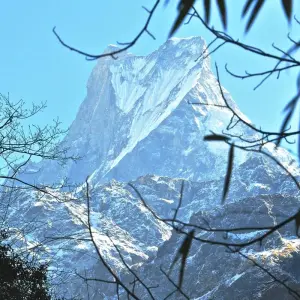 Explore Sunrise Poonhill Trek for 7 days with Himalayan Adventure Treks & Tours and discover unforgettable experiences - Photo 7