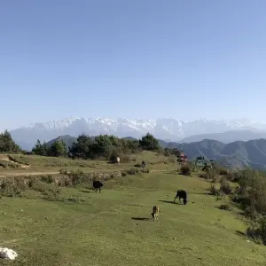 Explore Nepal Cultural And Natural Experience Tour for 5 days with Himalayan Recreation Treks & Expedition Pvt.ltd and discover unforgettable experiences - Photo 6
