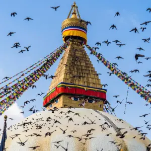 Explore Kathmandu Chitwan Tour for 3 days with Himalayan Trekking & Tours and discover unforgettable experiences - Photo 4