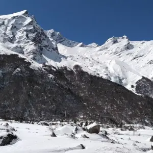 Explore Langtang Valley Trekking (Private Tour) for 8 days with Himalayan Trekking Path P.Ltd and discover unforgettable experiences - Photo 3