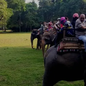 Explore Chitwan Jungle Safari for 3 days with Himalayan Trekking Path P.Ltd and discover unforgettable experiences - Photo 5