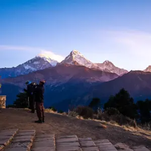 Explore Ghorepani Trek chitwan safari- Private Tour for 9 days with Himalayan Trekking Path P.Ltd and discover unforgettable experiences - Photo 6