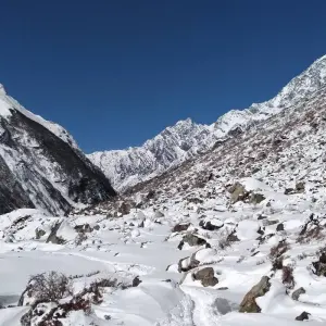 Explore Langtang Valley Trekking (Private Tour) for 8 days with Himalayan Trekking Path P.Ltd and discover unforgettable experiences - Photo 8