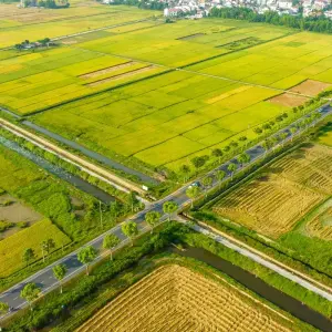 Explore 8 Days Northern Charm Meets Central Delight for 8 days with Hoi An Express and discover unforgettable experiences - Photo 2