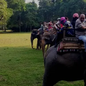 Explore Kathmandu Nagarkot Chitwan Lumbini Pokhara Tour (Private Tour) for 11 days with Himalayan Trekking Path P.Ltd and discover unforgettable experiences - Photo 7