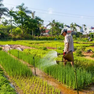 Explore 8 Days Northern Charm Meets Central Delight for 8 days with Hoi An Express and discover unforgettable experiences - Photo 3