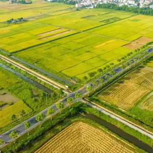 Explore 5 Days Golden Bridge And Hoi An Culinary Journey for 5 days with Hoi An Express and discover unforgettable experiences - Photo 4