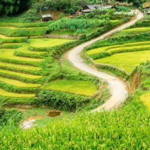 Explore 13 Days Vietnam's Authentic Heritage And Scenic Golden Bridge for 13 days with Hoi An Express and discover unforgettable experiences - Photo 8