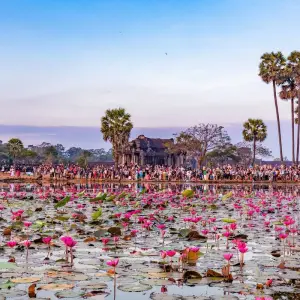 Explore 14 Days Vietnam To Cambodia Timeless Treasures for 14 days with Hoi An Express and discover unforgettable experiences - Photo 5
