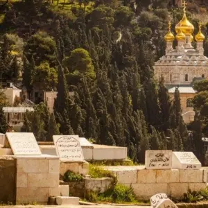 Explore Highlights of Israel, German-speaking guide for 8 days with Holiday Travel Israel and discover unforgettable experiences - Photo 3