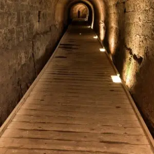 Explore Highlights of Israel, German-speaking guide for 8 days with Holiday Travel Israel and discover unforgettable experiences - Photo 4