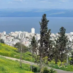 Explore Highlights of Israel, German-speaking guide for 8 days with Holiday Travel Israel and discover unforgettable experiences - Photo 5