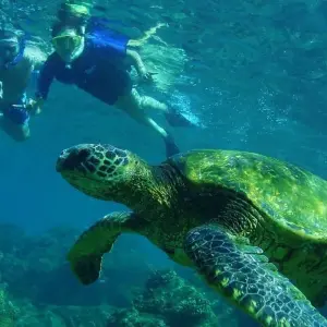 Explore 12 Days In Sri Lanka for 12 days with Holiday Lanka Tours and discover unforgettable experiences - Photo 4