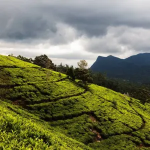 Explore Sri Lanka 3 Nights 4 Days Package for 4 days with Holiday Lanka Tours and discover unforgettable experiences - Photo 3