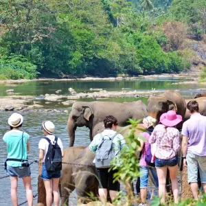 Explore 5 Days in Sri Lanka for 5 days with Holiday Lanka Tours and discover unforgettable experiences - Photo 5