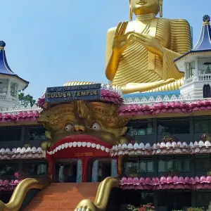 Explore Sri Lanka Solo Female Travel for 10 days with Holiday Lanka Tours and discover unforgettable experiences - Photo 2