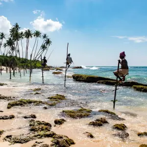 Explore Sri Lanka 9 Days Trip Package for 9 days with Holiday Lanka Tours and discover unforgettable experiences - Photo 5