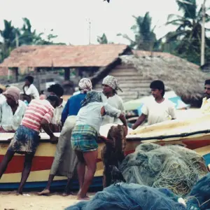 Explore Sri Lanka 5 Days Itinerary for 5 days with Holiday Lanka Tours and discover unforgettable experiences - Photo 4