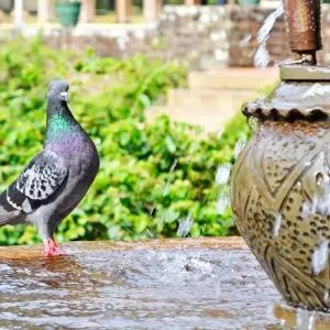 Explore Sri Lanka Itinerary 12 Days for 12 days with Holiday Lanka Tours and discover unforgettable experiences - Photo 8