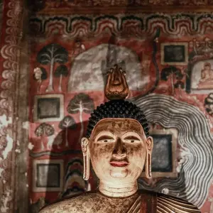 Explore Sri Lanka North East & Central Tour for 12 days with Holiday Lanka Tours and discover unforgettable experiences - Photo 3