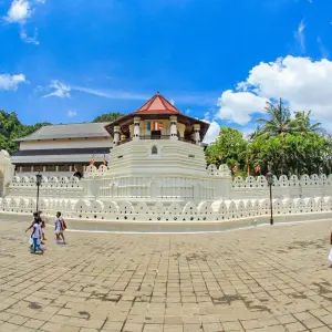 Explore Sri Lanka 9 Days Trip Package for 9 days with Holiday Lanka Tours and discover unforgettable experiences - Photo 8