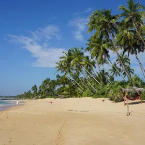 Explore Sri Lanka Tour Package for Couple for 14 days with Holiday Lanka Tours and discover unforgettable experiences - Photo 7