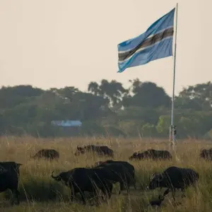 Explore Cape Victoria Discover Tour: 12 Day Kruger Park, Victoria Falls, Chobe, Cape Town for 12 days with HoneyBadger Travel & Tours and discover unforgettable experiences - Photo 6