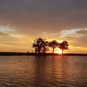 Explore Discover Safari Chobe & Victoria Falls 4 Days & 4 Nights for 4 days with HoneyBadger Travel & Tours and discover unforgettable experiences - Photo 8