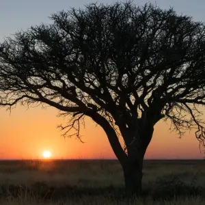 Explore Botswana Grandeur Explorer Tour: Okavango Delta, Chobe National Park, Victoria Falls for 7 days with HoneyBadger Travel & Tours and discover unforgettable experiences - Photo 4