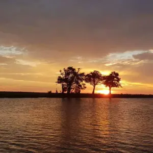 Explore Cape Victoria Discover Tour: 12 Day Kruger Park, Victoria Falls, Chobe, Cape Town for 12 days with HoneyBadger Travel & Tours and discover unforgettable experiences - Photo 9