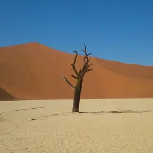 Explore Cape Namibia Route for 12 days with HoneyBadger Travel & Tours and discover unforgettable experiences - Photo 11