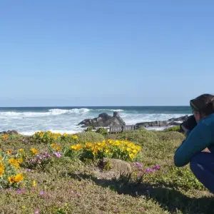 Explore South Africa Flower Safari Namaqualand & West Coast for 3 days with HoneyBadger Travel & Tours and discover unforgettable experiences - Photo 9