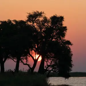 Explore Botswana Grandeur Explorer Tour: Okavango Delta, Chobe National Park, Victoria Falls for 7 days with HoneyBadger Travel & Tours and discover unforgettable experiences - Photo 9