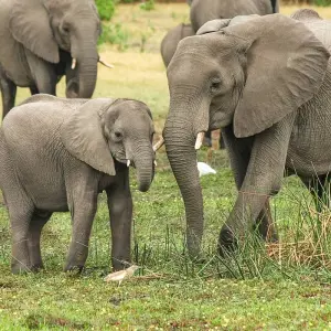 Explore Best of Kerala for 8 days with Holidays At and discover unforgettable experiences - Photo 7
