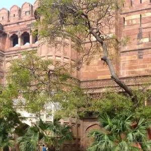Explore Golden Triangle Tour with Jodhpur for 9 days with Holidays At and discover unforgettable experiences - Photo 4