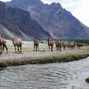 Explore Leh Ladakh - Best of Tibet Experience for 9 days with Holidays At and discover unforgettable experiences - Photo 3