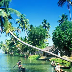 Explore Backwaters and Beaches of Kerala for 8 days with Holidays At and discover unforgettable experiences - Photo 6