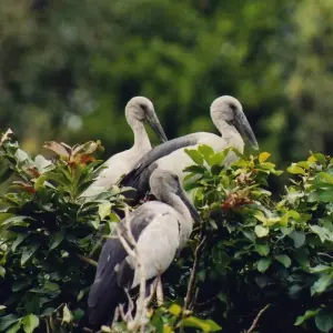 Explore Backwaters and Beaches of Kerala for 8 days with Holidays At and discover unforgettable experiences - Photo 9