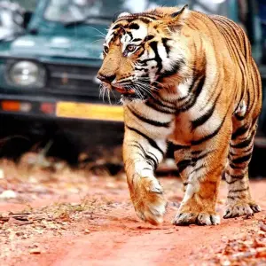 Explore Luxury Golden Triangle Tour with Ranthambore for 9 days with Holidays At and discover unforgettable experiences - Photo 2