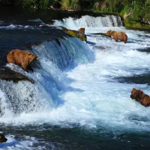 Explore Alaska and British Columbia – Inside Passage, Bears and Aleutian Islands (Northbound) for 18 days with Hurtigruten and discover unforgettable experiences - Photo 4