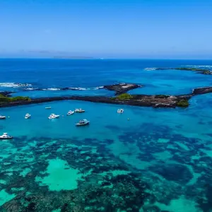 Explore Nature and Wildlife Expedition Cruise (Northern Route) (2025) for 7 days with Hurtigruten and discover unforgettable experiences - Photo 5