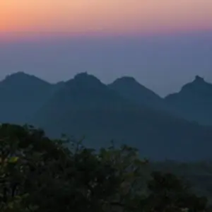 Explore 11-Day Adventure Tour of Northeast India: Wild Orchids Valleys  Tea Gardens and Snow-capped Mountains from Guwahati to Jorhat for 11 days with IHCT Heritage & Adventure  Tours and discover unforgettable experiences - Photo 8